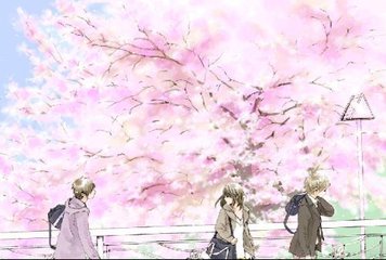 背部精油按摩视频